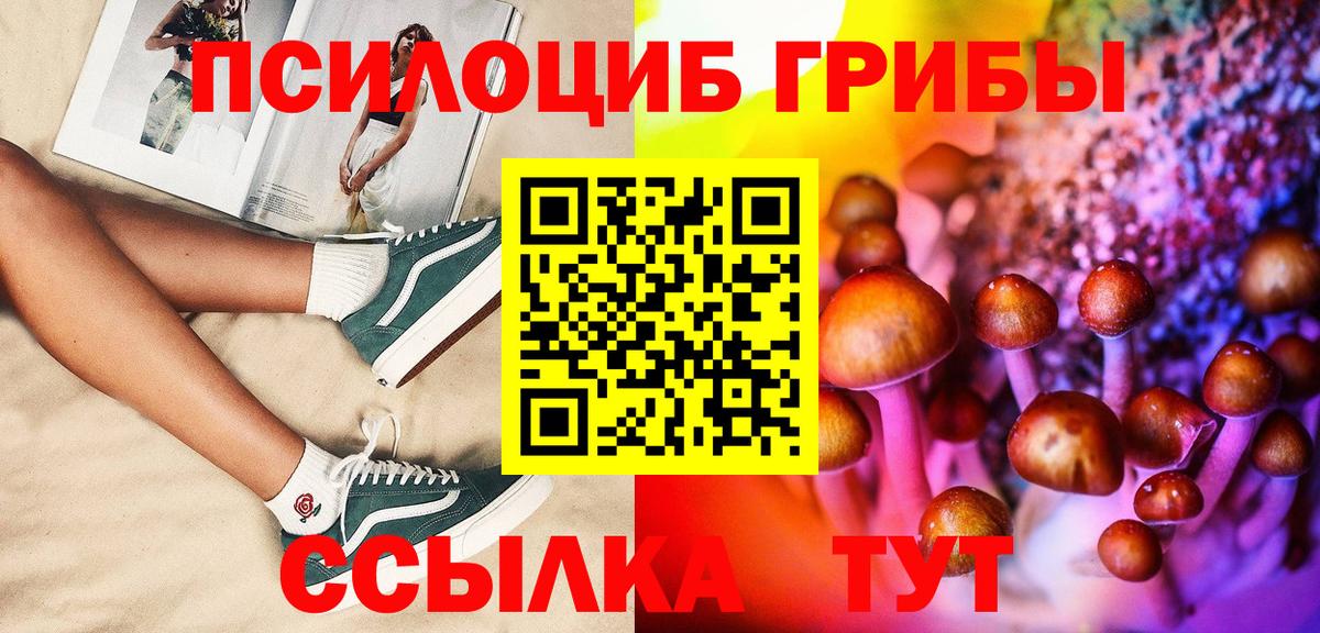 Галлюциногенные грибы Cubensis Красноярск