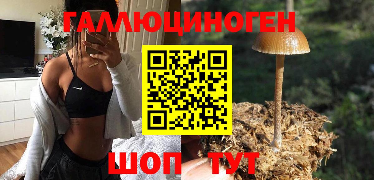 Псилоцибиновые грибы Cubensis  Псилоцибиновые грибы Cubensis  Вход с VPN  Красноярск 